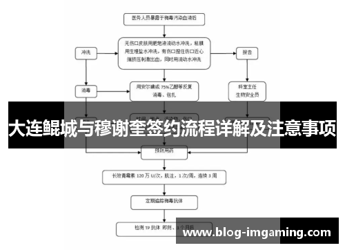 大连鲲城与穆谢奎签约流程详解及注意事项