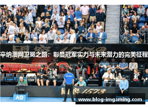 辛纳澳网卫冕之路：彰显冠军实力与未来潜力的完美征程